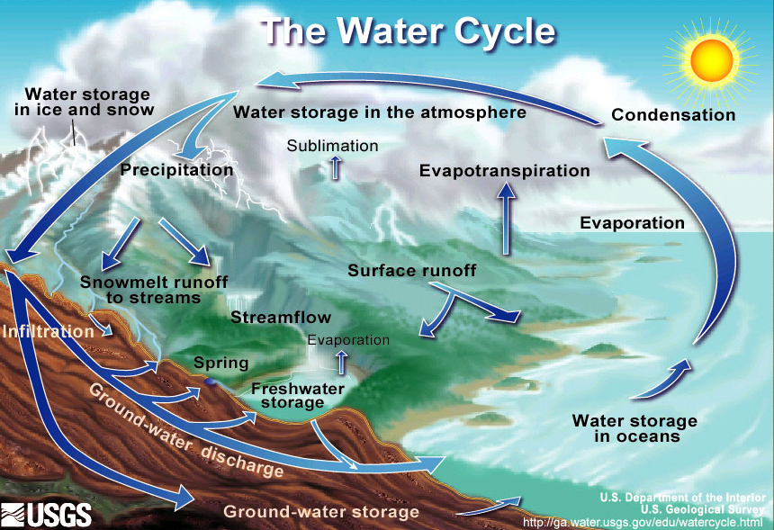 Labelled diagram: The Water Cycle